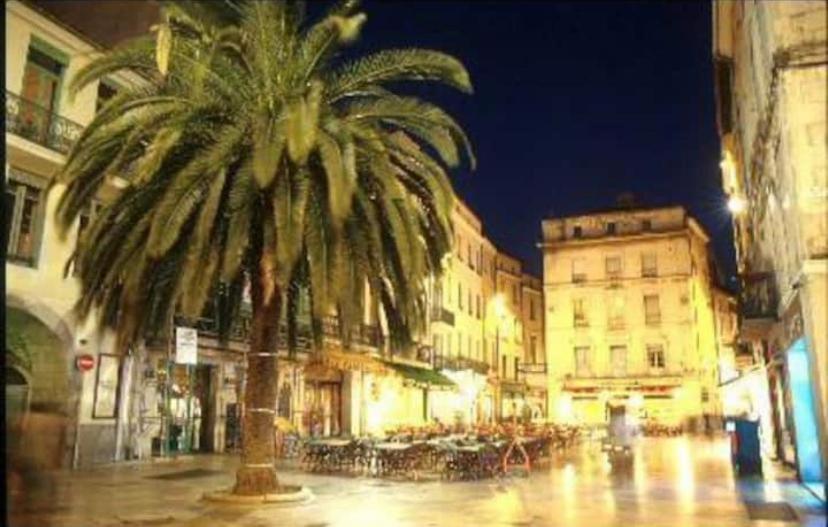 Studio Cosy Au Coeur De L'Ecusson - Arenes A 2 Min Nîmes Exteriér fotografie